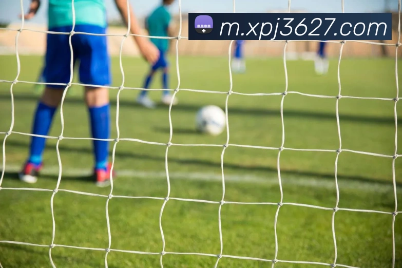 战术分析频道